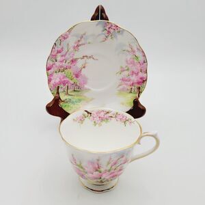 Vintage Royal Albert tea cup & saucer fine china Blossom Time England Collectors